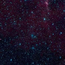 Let the Stars Embrace You