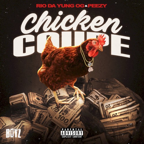 Chicken Coupe