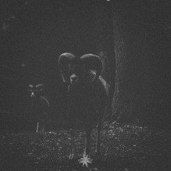 Rituals I