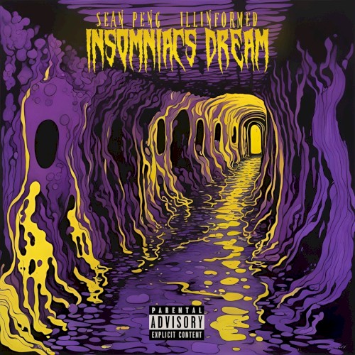 Insomniacs Dream