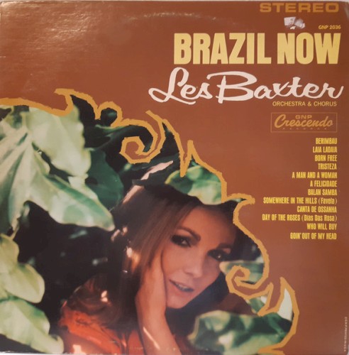 Brazil Now