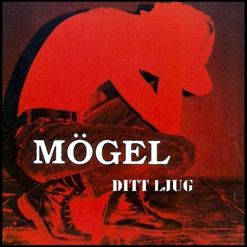 Ditt ljug