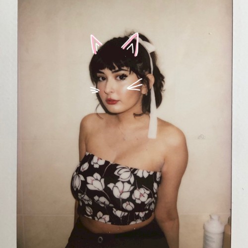 kitty