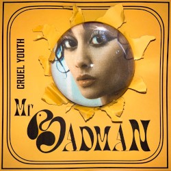 Mr. Badman