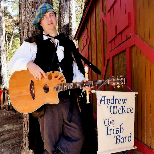 The Irish Bard