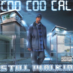 Still Walkin