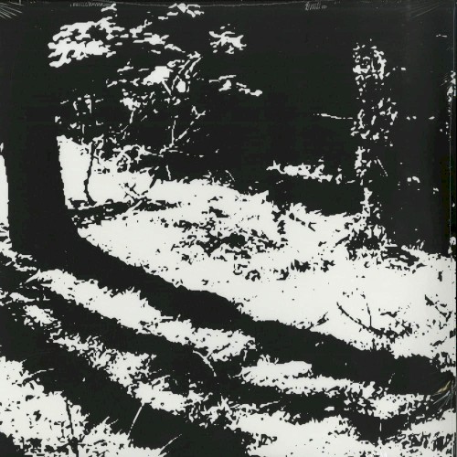 Transcranial EP