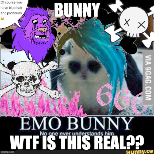 I LIKE BUNNIES