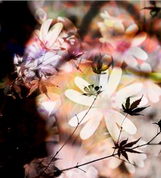 The Dance of Affinity