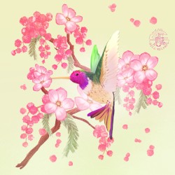 Hummingbird