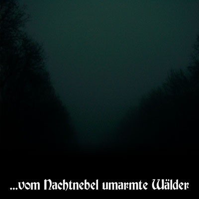 ...vom Nachtnebel umarmte Wälder