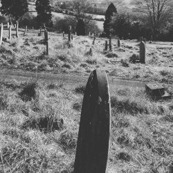 Grave Analysis