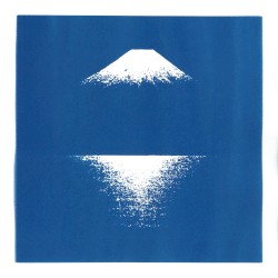 Half-tone Memory