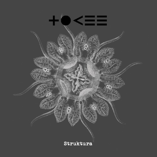 Struktura