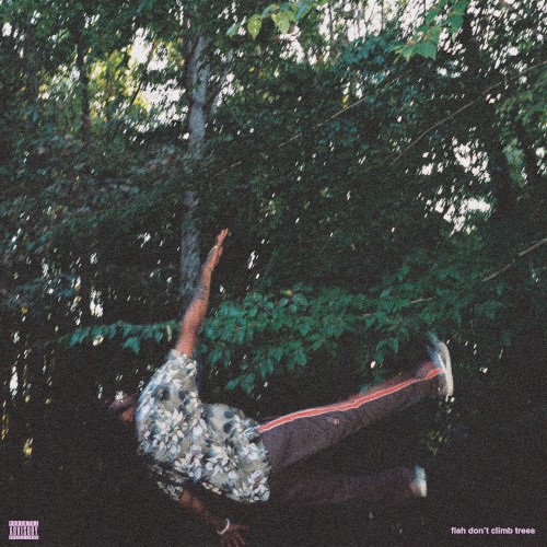 fish don't climb trees