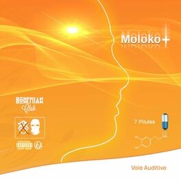 Moloko+
