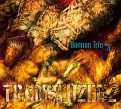 Transluzenz