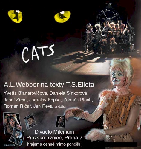Cats