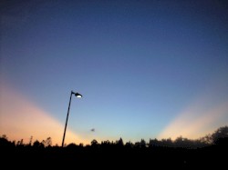Predawn2013