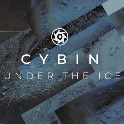 Under the Ice