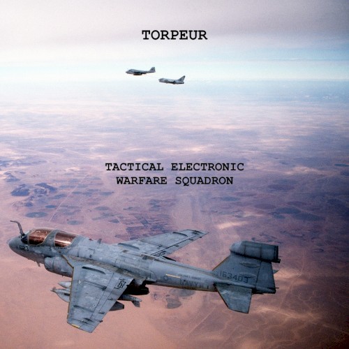 Tactical Electronic Warfare Squadron