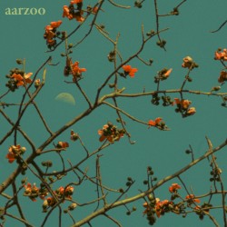 Aarzoo