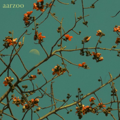 Aarzoo