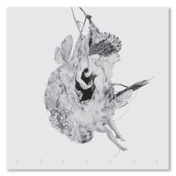 Recluse
