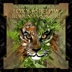 20 Below / Valkyrie