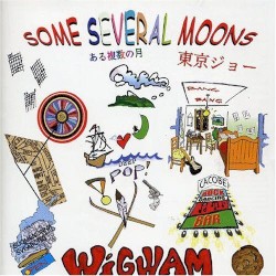 Some Several Moons