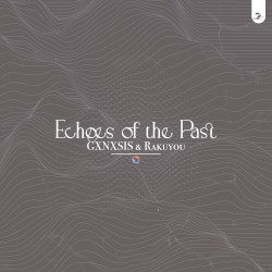 Echoes of the Past