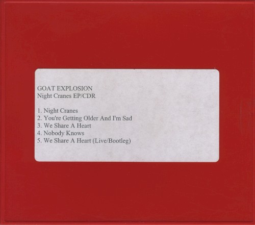 Night Cranes EP