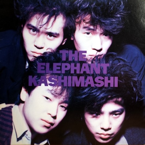 THE ELEPHANT KASHIMASHI