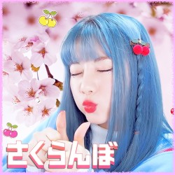 Sakuranbo