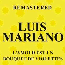 L'amour est un bouquet de violettes