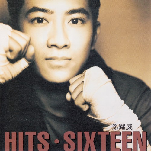 Hits Sixteen