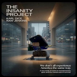 The Insanity Project