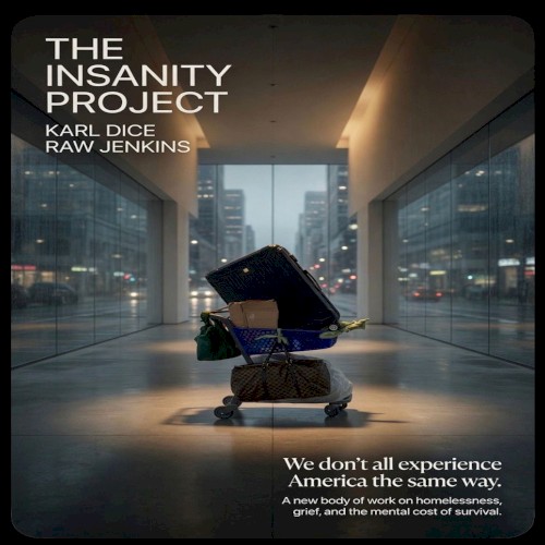 The Insanity Project