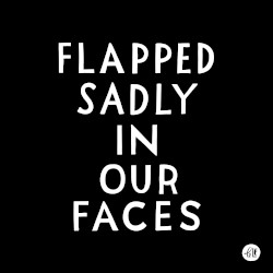 Flapped Sadly in Our Faces