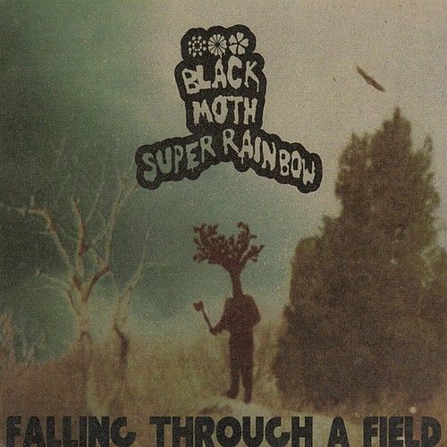 Falling Through a Field