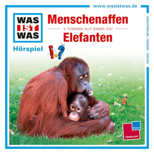 Menschenaffen / Elefanten