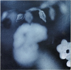 Duk Koo Kim