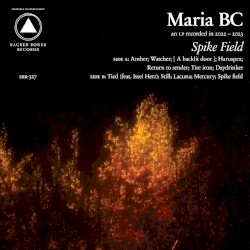 Spike Field