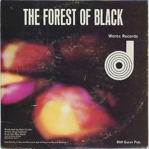 The Forest of Black