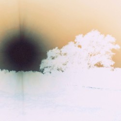 some form of presence