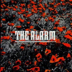 In the Poppy Fields