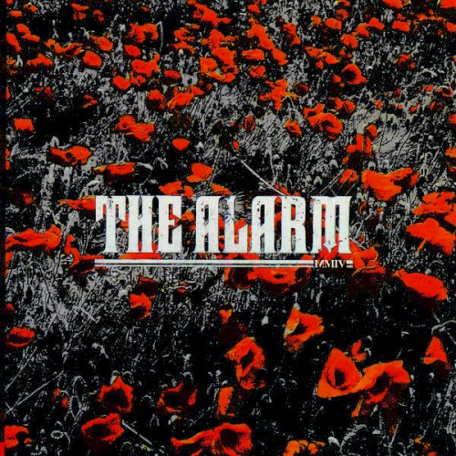 In the Poppy Fields