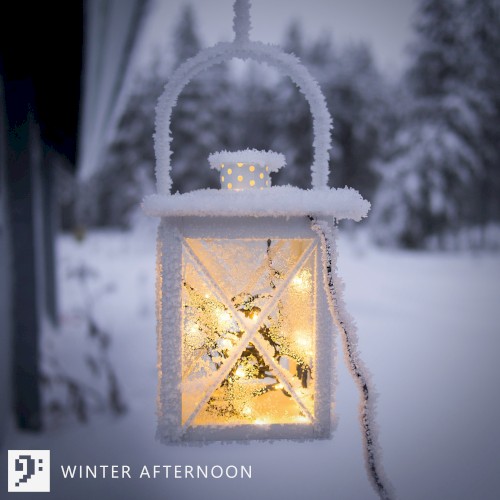 Winter Afternoon