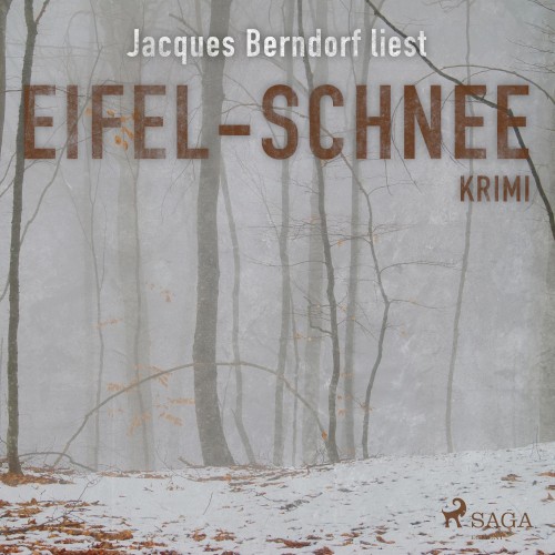 Eifel-Schnee