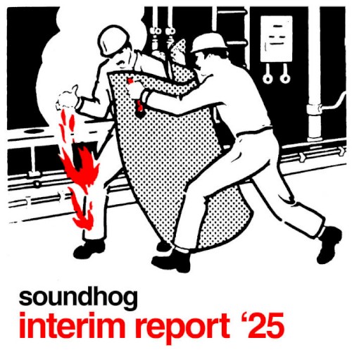 Interim Report '25